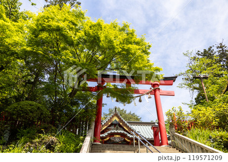高尾山薬王院 石段の中段から見上げる赤い鳥居と拝殿 新緑の景色 高尾山薬王院 石段の中段から見上げる赤い鳥居と拝殿 新緑の景色 119571209
