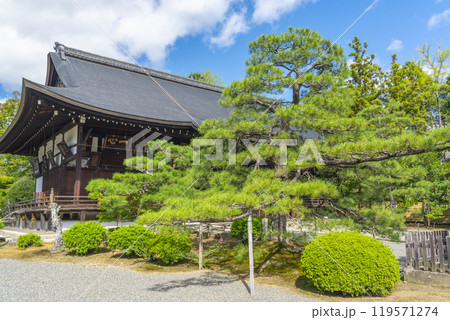 太秦広隆寺 上宮王院太子殿(本堂) 太秦広隆寺 上宮王院太子殿(本堂) 119571274