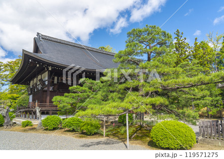 太秦広隆寺　上宮王院太子殿（本堂） 119571275