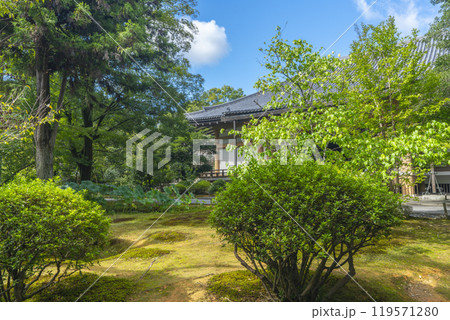 太秦広隆寺 新霊宝殿 太秦広隆寺 新霊宝殿 119571280