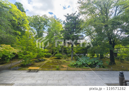 太秦広隆寺 新霊宝殿前の落ち着いた雰囲気の庭園 太秦広隆寺 新霊宝殿前の落ち着いた雰囲気の庭園 119571282