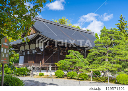 太秦広隆寺 上宮王院太子殿(本堂) 太秦広隆寺 上宮王院太子殿(本堂) 119571301