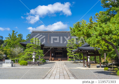 太秦広隆寺 上宮王院太子殿(本堂) 太秦広隆寺 上宮王院太子殿(本堂) 119571303