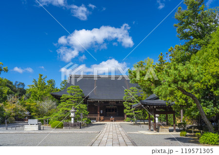 太秦広隆寺 上宮王院太子殿(本堂) 太秦広隆寺 上宮王院太子殿(本堂) 119571305