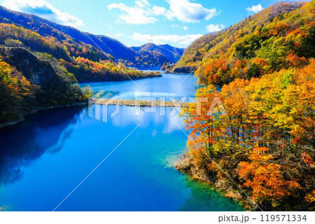 秋の四万川ダムの美しい紅葉 秋の四万川ダムの美しい紅葉 119571334
