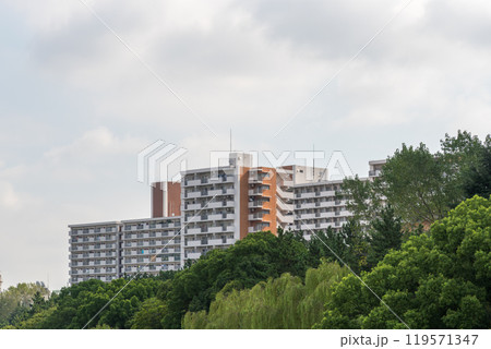 昭和の団地 119571347