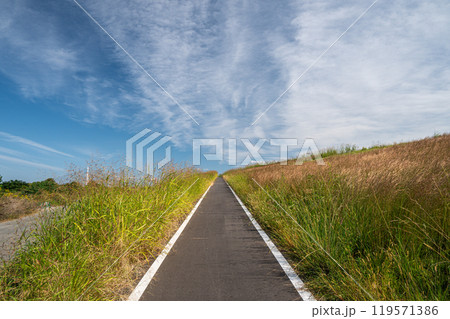 淀川の堤防へ上がる遊歩道 119571386