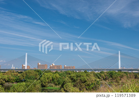 菅原城北大橋とワンド 119571389