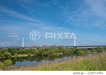 淀川の堤防の上からの眺めた菅原城北大橋とワンド 119571401