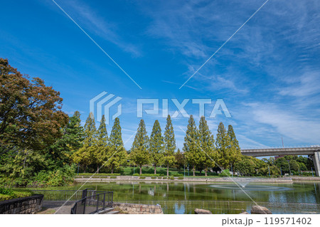 城北公園風景　大阪市 119571402