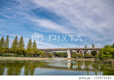 城北公園風景 大阪市 城北公園風景 大阪市 119571410