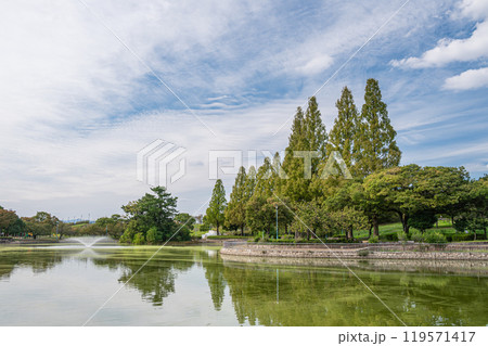 城北公園風景　大阪市 119571417