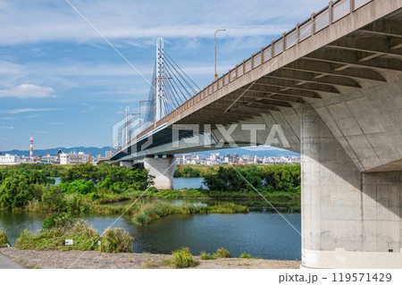 菅原城北大橋とワンド 大阪市 菅原城北大橋とワンド 大阪市 119571429