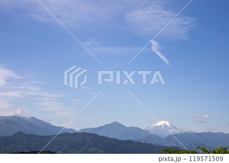 新緑の高尾山山頂からの眺望　晴天の山々と富士山 119571509