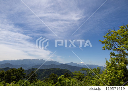 高尾山山頂からの眺望　新緑と青空に遠くに霞む富士山 119571619