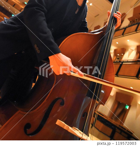 コントラバスを奏でる黒いスーツの男性 119572003