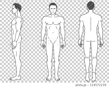 從正面和側面觀察的 8 頭男性全身線條畫插圖集。 119572239