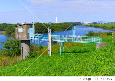 千葉県流山市水位流量観測所周辺2024年10月 千葉県流山市水位流量観測所周辺2024年10月 119572395