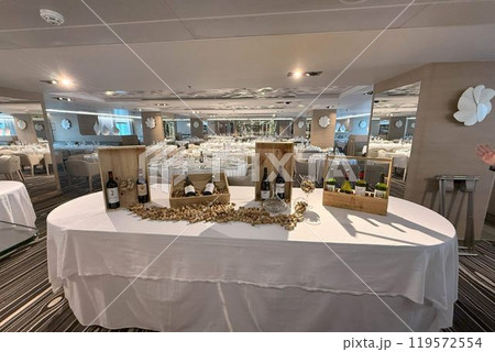 スタイリッシュなヨット型小型客船 ル・ソレアル スタイリッシュなヨット型小型客船 ル・ソレアル 119572554