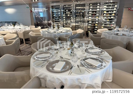 スタイリッシュなヨット型小型客船 ル・ソレアル スタイリッシュなヨット型小型客船 ル・ソレアル 119572556