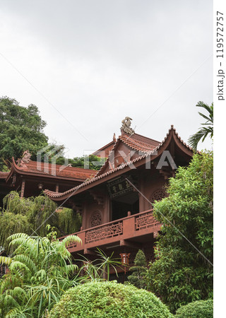roof under construction with trees 119572757