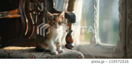 Charming Calico Kitten on Vintage Chair with Sunlit Ambiance for Pet-Themed Decor and Design 119572816