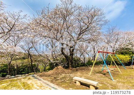 淡島公園・淡島神社の桜　【長崎県雲仙市】 119573278