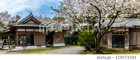 淡島公園・淡島神社の桜 パノラマ【長崎県雲仙市】 淡島公園・淡島神社の桜 パノラマ【長崎県雲仙市】 119573291
