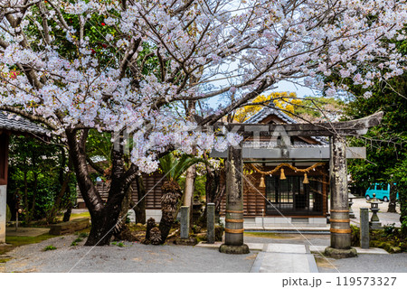 淡島公園・淡島神社の桜　【長崎県雲仙市】 119573327