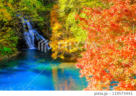 紅葉と桃太郎の滝 紅葉と桃太郎の滝 119573441