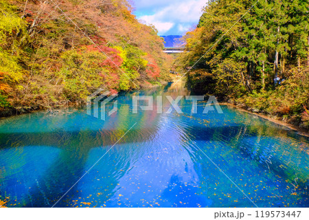 紅葉の四万川と四万大橋 119573447