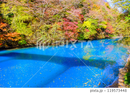 紅葉と四万ブルー 119573448