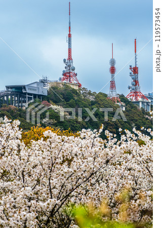 稲佐山電波塔と桜　【長崎市】 119573454