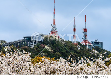 稲佐山電波塔と桜　【長崎市】 119573455