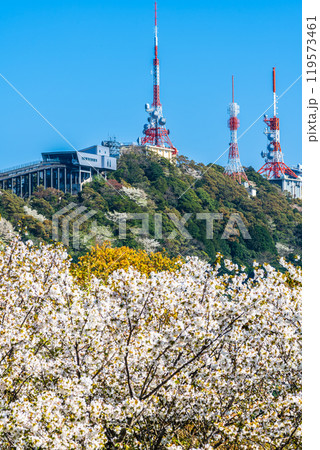 稲佐山電波塔と桜　【長崎市】 119573461