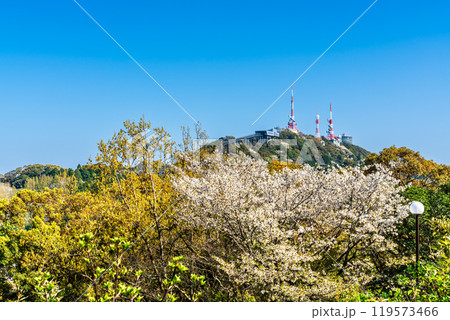 稲佐山電波塔と桜 【長崎市】 稲佐山電波塔と桜 【長崎市】 119573466