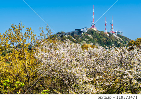 稲佐山電波塔と桜 【長崎市】 稲佐山電波塔と桜 【長崎市】 119573471