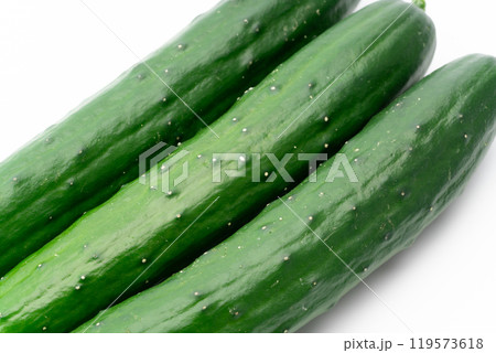 胡瓜のクローズアップ 119573618