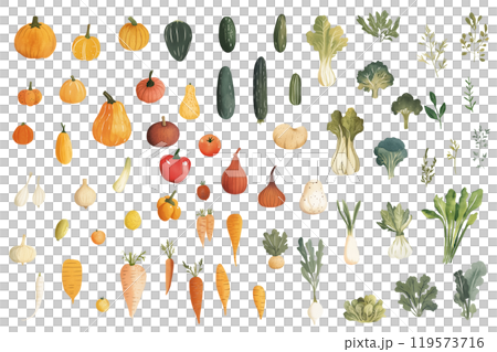 Watercolor vegetable illustration set 119573716