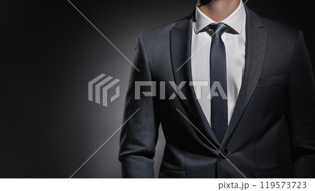 スーツを着た男性、ビジネスマンの胸元正面 119573723