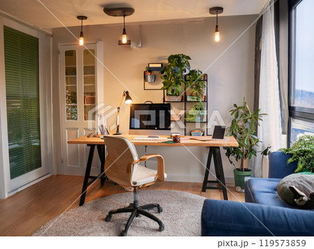 リモートワークの部屋、ナチュラルインテリア リモートワークの部屋、ナチュラルインテリア 119573859