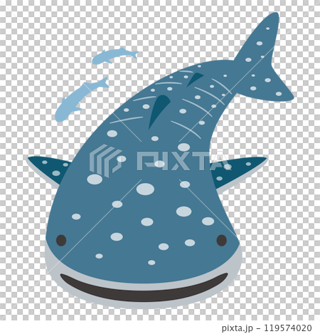 Illustration of whale shark Illustration of whale shark 119574020