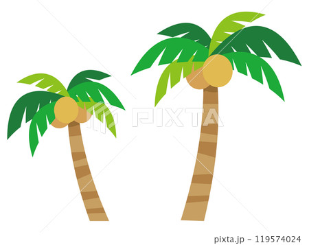 ヤシの木のイラスト ヤシの木のイラスト 119574024