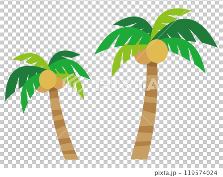 ヤシの木のイラスト ヤシの木のイラスト 119574024