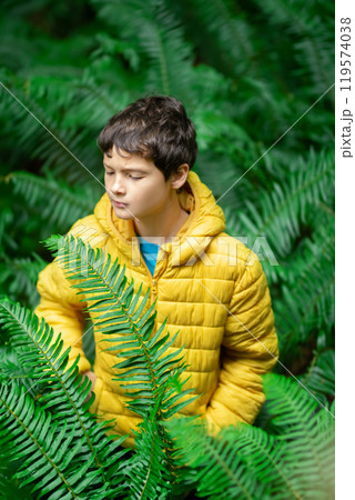 Boy in yellow jacket is walking in dense big ferns in the rainforest while on autumn vacations exploring nature. Cathedral grove, Vancouver island, British Columbia, Canada. Boy in yellow jacket is walking in dense big ferns in the rainforest while on autumn vacations exploring nature. Cathedral grove, Vancouver island, British Columbia, Canada. 119574038