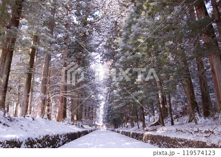 日光市　日光二荒山神社　参道（下新道） 119574123