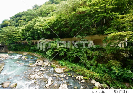 昭和建築代表の函嶺洞門 119574352