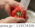 赤パプリカの水洗い 119574506