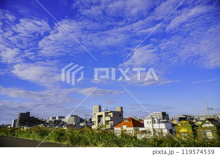 市川江戸川土手から見た秋の空と流れる雲 市川江戸川土手から見た秋の空と流れる雲 119574539