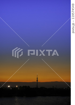 市川江戸川土手から見たスカイツリーと夕焼けとブルーモーメント 市川江戸川土手から見たスカイツリーと夕焼けとブルーモーメント 119574549